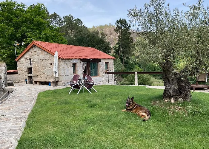 Дом отдыха Da Man Da Moura *